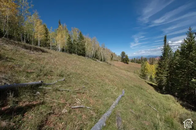 1430 N Aspen Dr, Brian Head, UT 84719 - #3