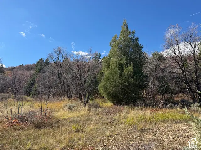 1361 Sculpin Loop #6, Garden City, UT 84028 - #2