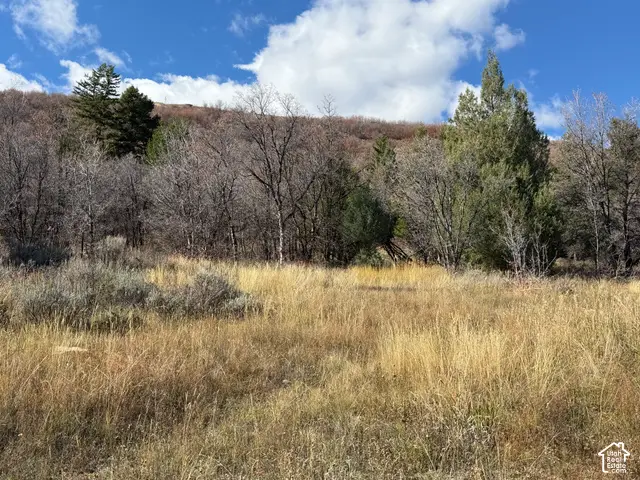 1361 Sculpin Loop #6, Garden City, UT 84028 - #3