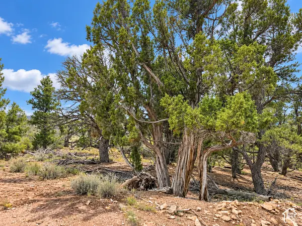 #5, Fruitland, UT 84027