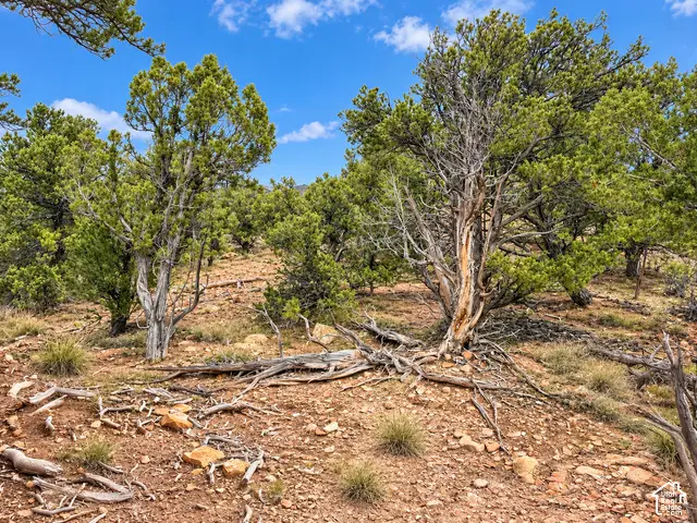 #5, Fruitland, UT 84027 - #2