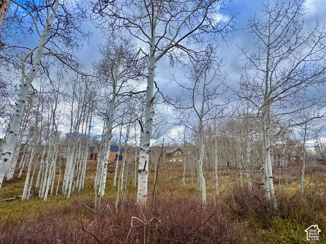 11616 E Cliffrose Dr #1836, Heber City, UT 84032 - #2