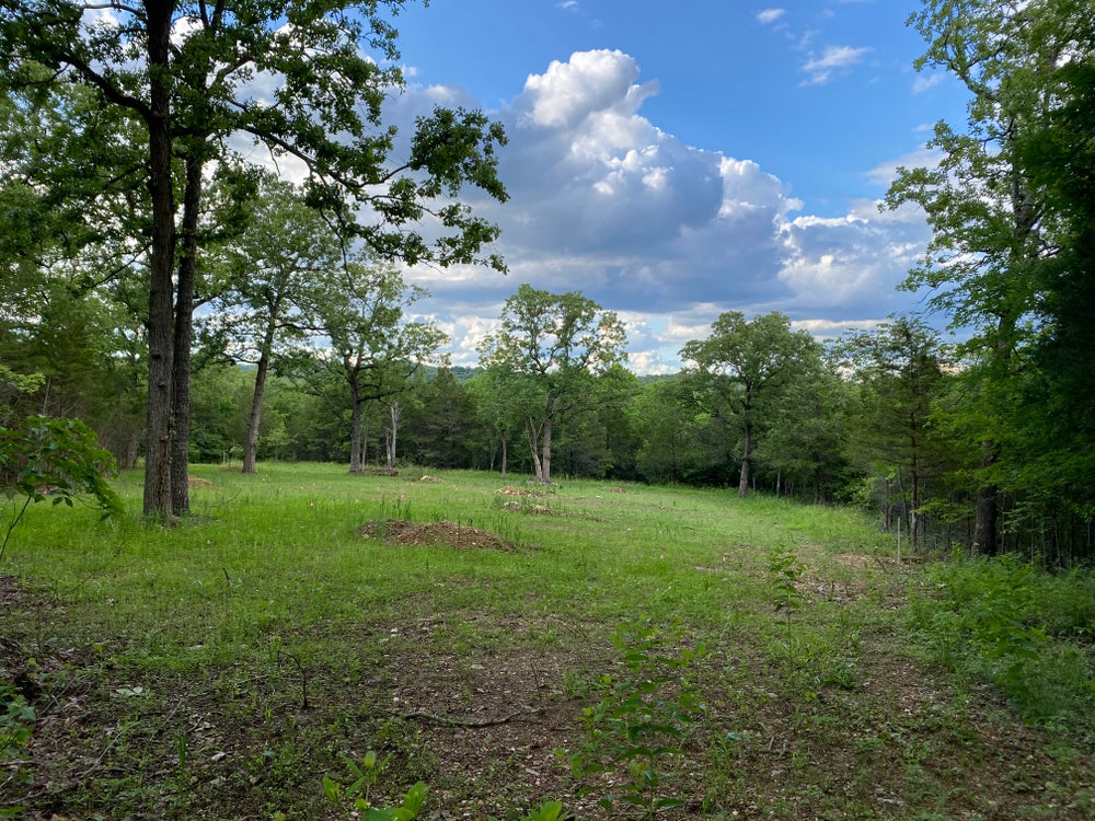 000 MC 8063, Flippin, AR 72634 ERA