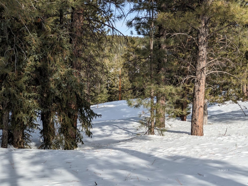 1080 N ROCK LEDGE DR SWAINS CREEK PINES LOT 667 UNIT 3, Duck Creek