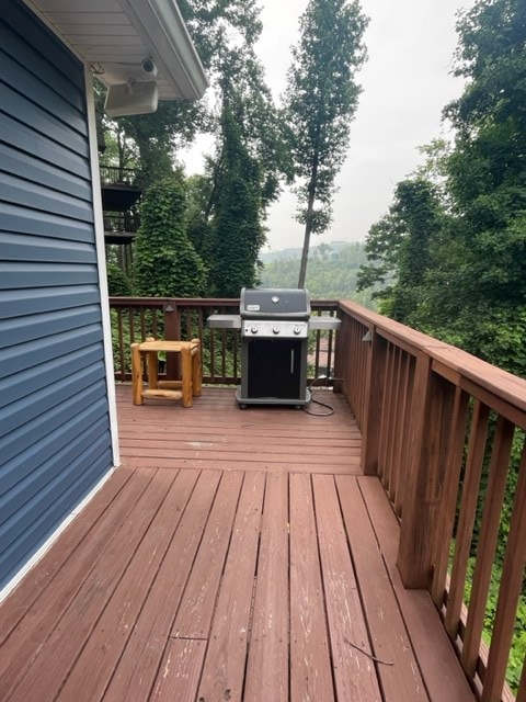 230 Silverbell Lane, Gatlinburg, TN 37738 - Image #2