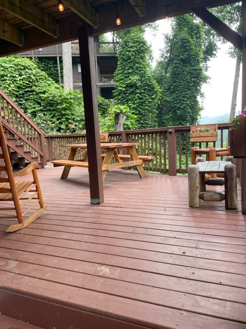 230 Silverbell Lane, Gatlinburg, TN 37738 - Image #3