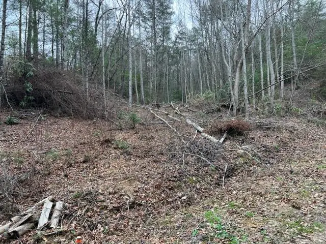 Lot 3D Coy Rhea Way, Sevierville, TN 37876 - Image #1