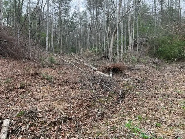 Lot 3D Coy Rhea Way, Sevierville, TN 37876 - Image #3