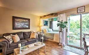 1260 Ski View Drive #2207, Gatlinburg, TN 37738 - Image #3