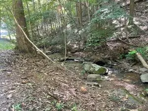 #2
