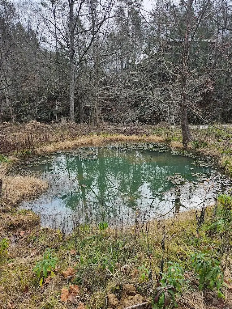 0 Old 15th Road, Del Rio, TN 37727 - Image #3