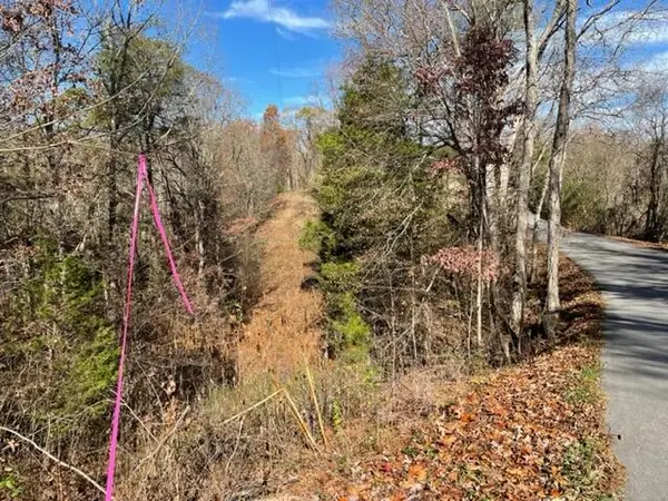 Lot 71 Happy Hollow Lane Lane, Sevierville, TN 37876