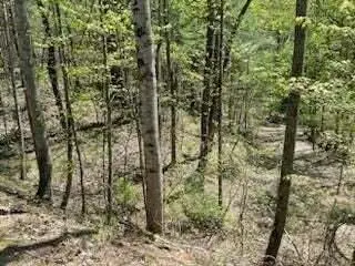 #3