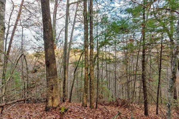 Lot 81 Whetstone Road, Sevierville, TN 37862