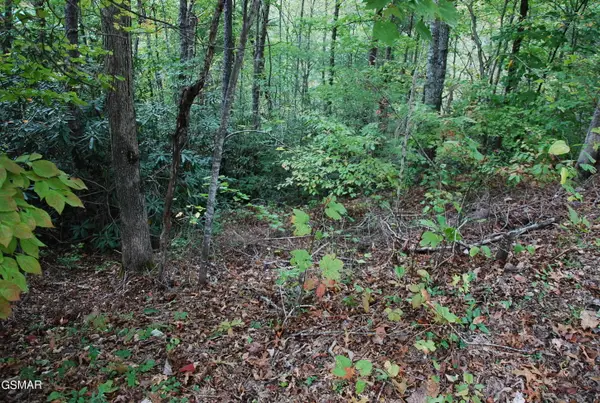 2017 Ridgecrest Loop Lane, Sevierville, TN 37876