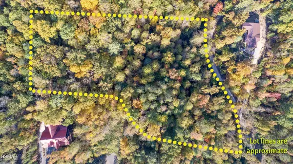 31 Sulpher Springs Way, Sevierville, TN 37862