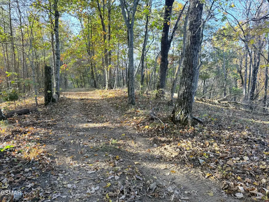 #3