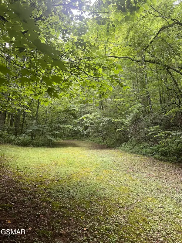 2110 Duck Pond Lane, Sevierville, TN 37876