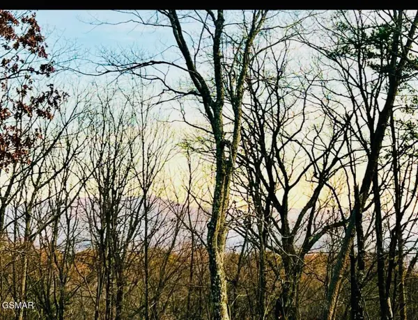 159 Summit Trails Drive, Sevierville, TN 37862