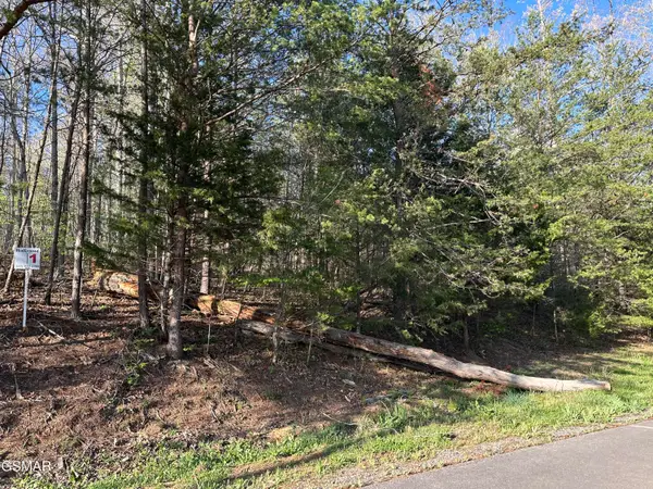 Lot 1 Timber Trail, Newport, TN 37821