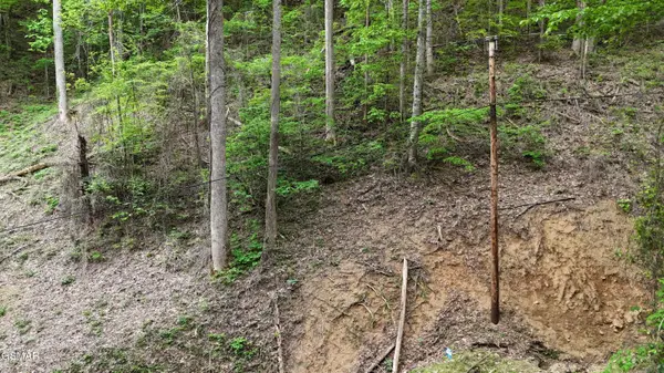 Lot 33 Black Walnut Flats Road, Sevierville, TN 37876