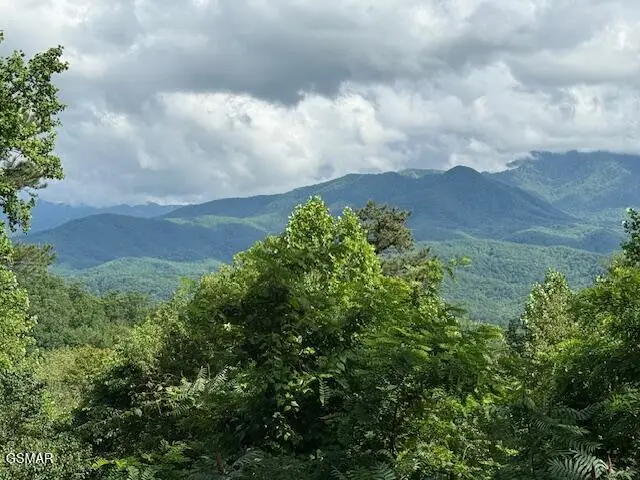 933 E Foothills Drive, Gatlinburg, TN 37738 - Image #2