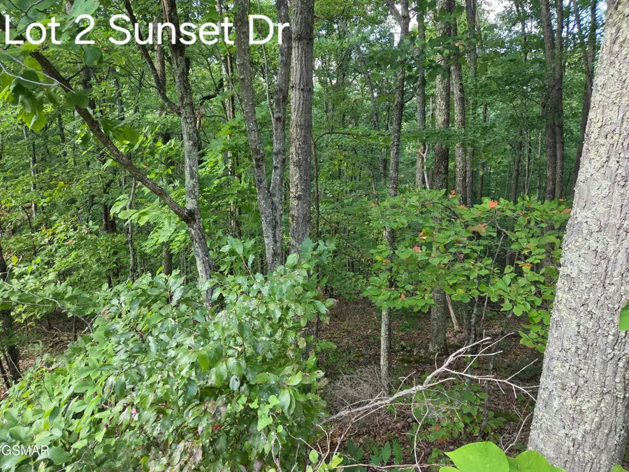 Lot 2 Sunset Drive, Sevierville, TN 37876 - Image #2