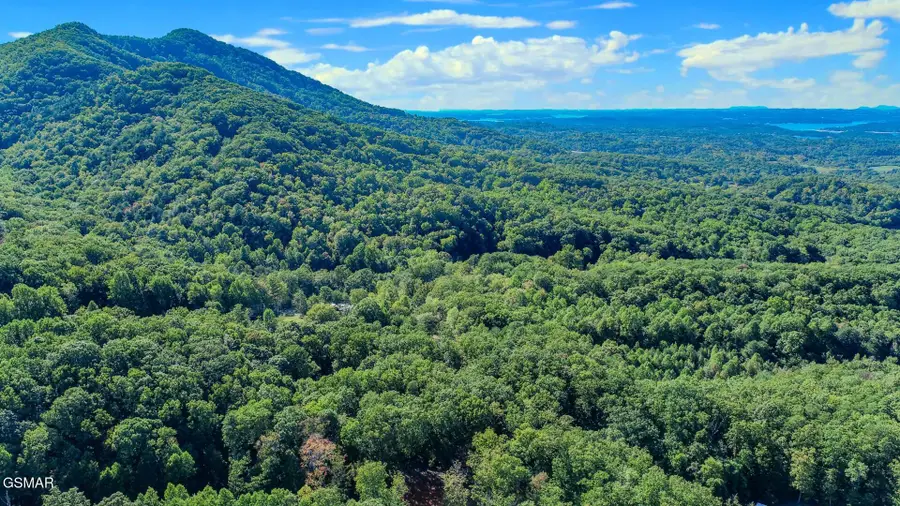 113 Huffman Way, Newport, TN 37821 - Image #2