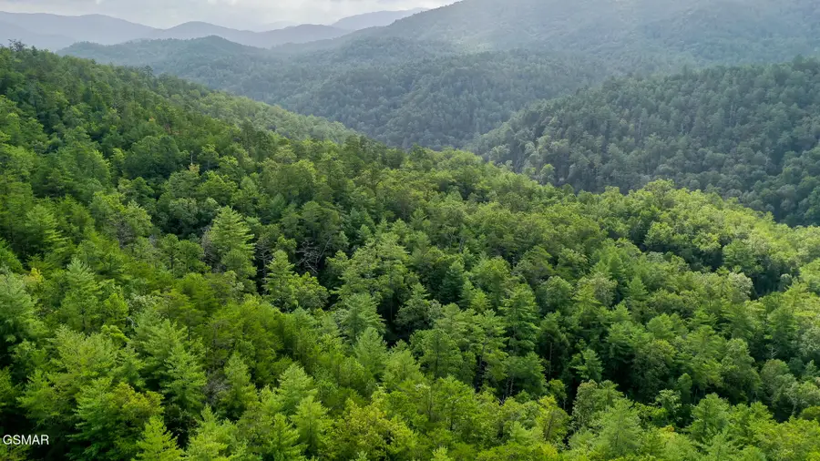 0 Bethel Church Road, Townsend, TN 37882 - Image #2