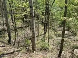 #3