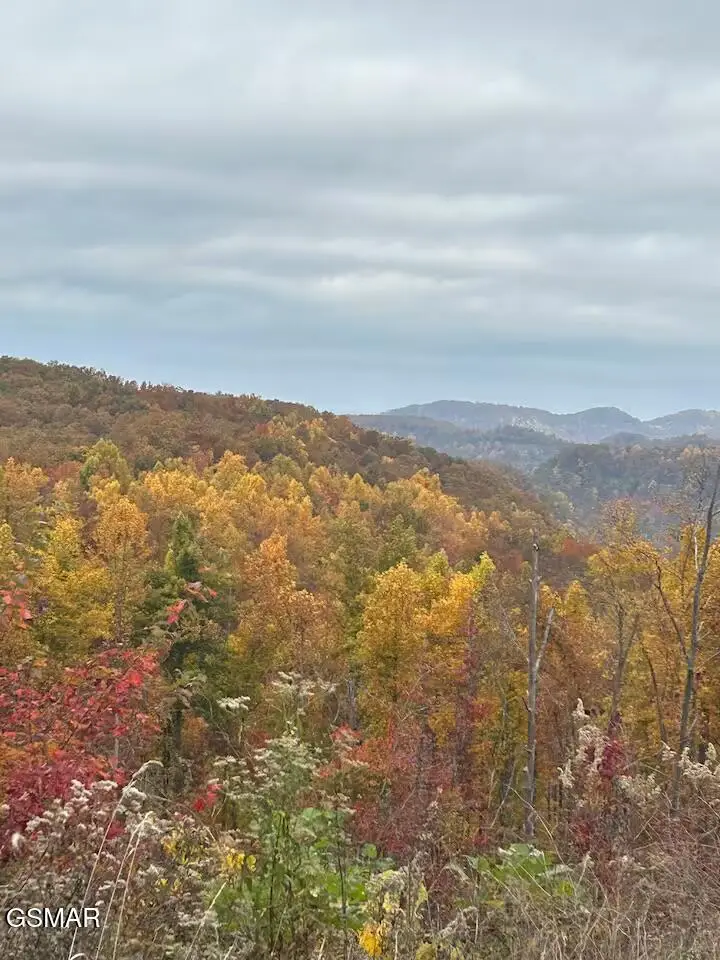 1903 Oneil Road, Newport, TN 37821 - Image #2