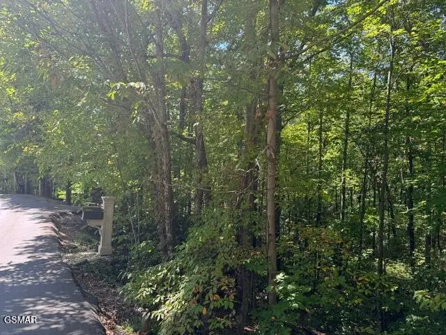 Lot 17 Deer Path Lane, Gatlinburg, TN 37738 - Image #3