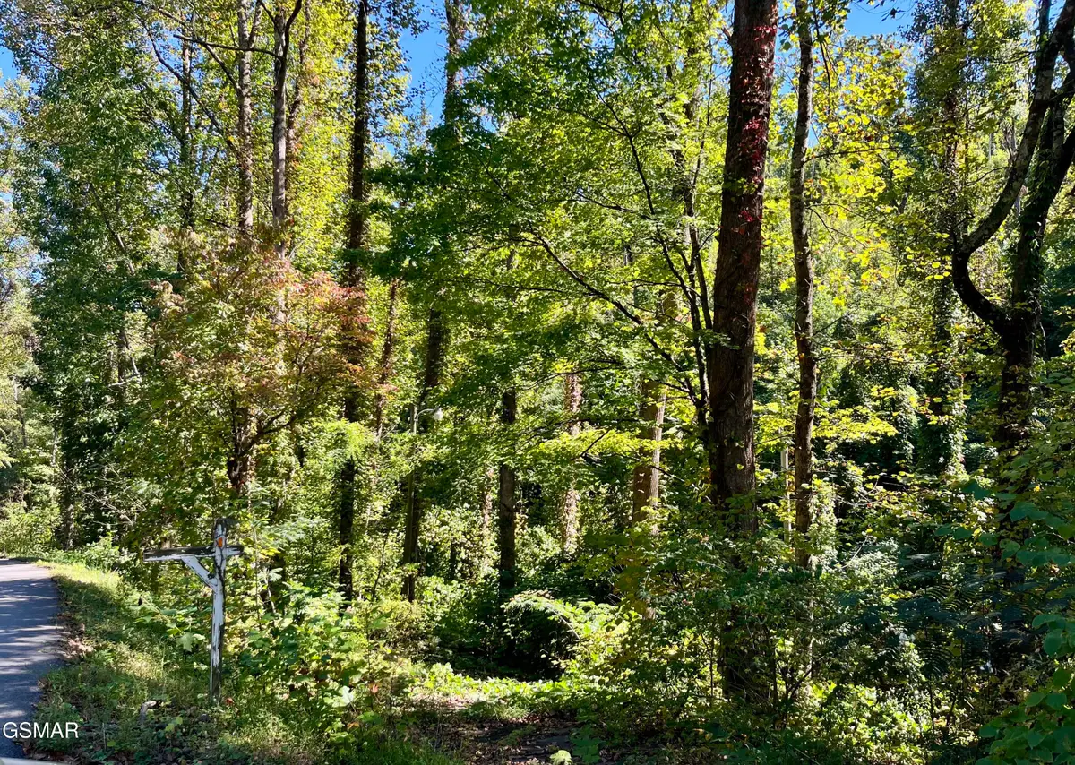 Lots 36-37 Cool Creek Road, Sevierville, TN 37862 - Image #1