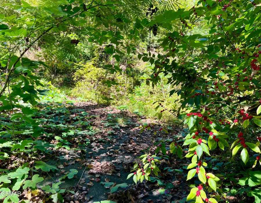 Lots 36-37 Cool Creek Road, Sevierville, TN 37862 - Image #2