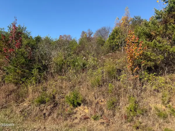 LOT 19 English Fields, Newport, TN 37821