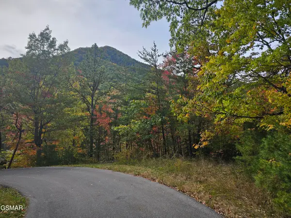 0 Denton Court, Sevierville, TN 37862