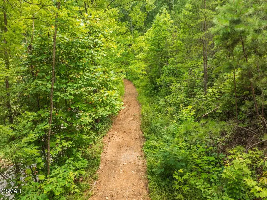 2119 Spurling Road Road, Sevierville, TN 37862 - Image #2