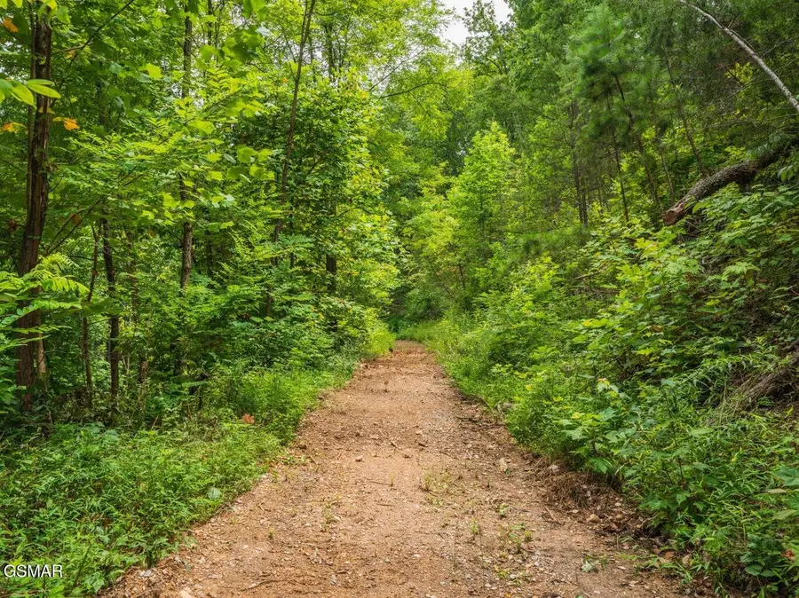 2119 Spurling Road Road, Sevierville, TN 37862 - Image #3