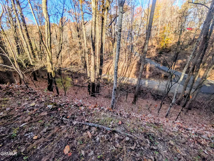 Lot 194A Ski View Lane, Sevierville, TN 37876 - Image #2