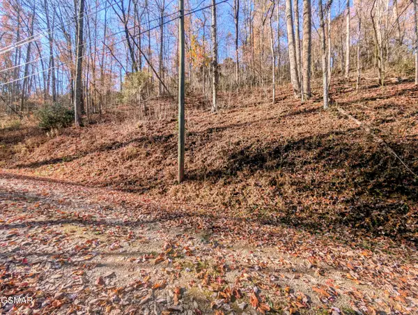 Lot 1272 Raymond Hollow Road, Sevierville, TN 37876