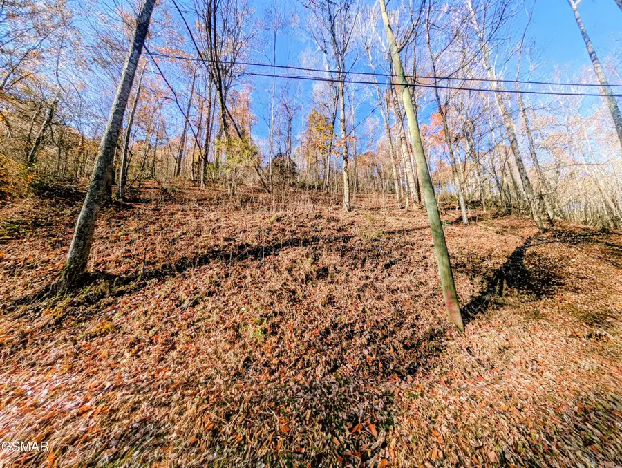 Lot 1272 Raymond Hollow Road, Sevierville, TN 37876 - Image #2