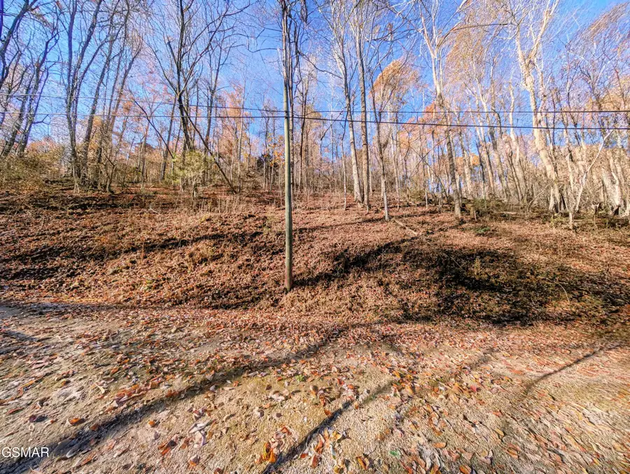 Lot 1272 Raymond Hollow Road, Sevierville, TN 37876 - Image #3