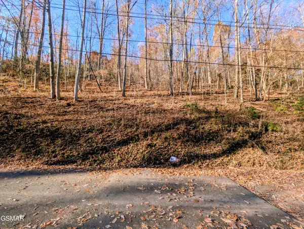 Lot 1273 Raymond Hollow Road, Sevierville, TN 37876