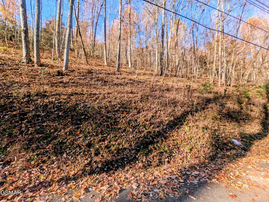 Lot 1273 Raymond Hollow Road, Sevierville, TN 37876 - Image #2