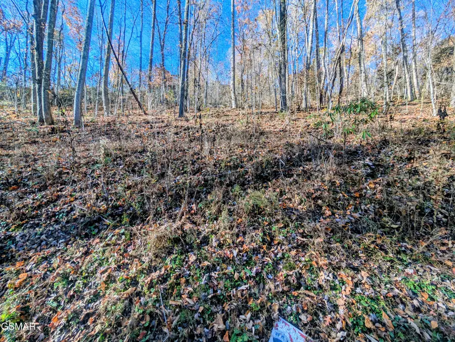 Lot 1273 Raymond Hollow Road, Sevierville, TN 37876 - Image #3
