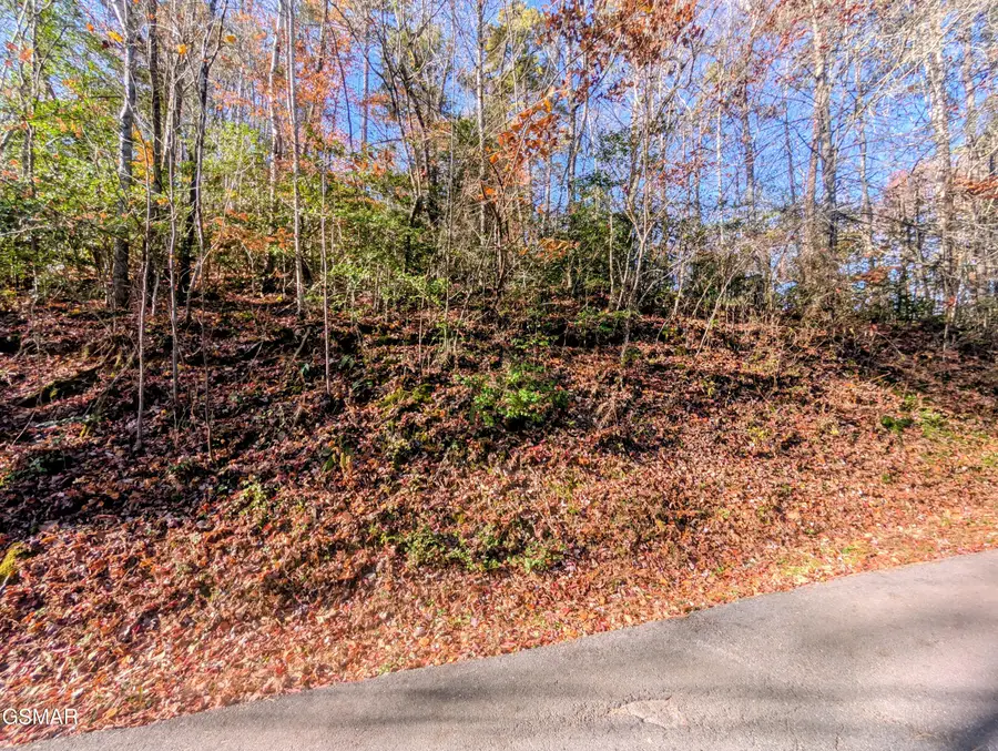 Lot 1905 Beach Front Drive, Sevierville, TN 37876 - Image #2