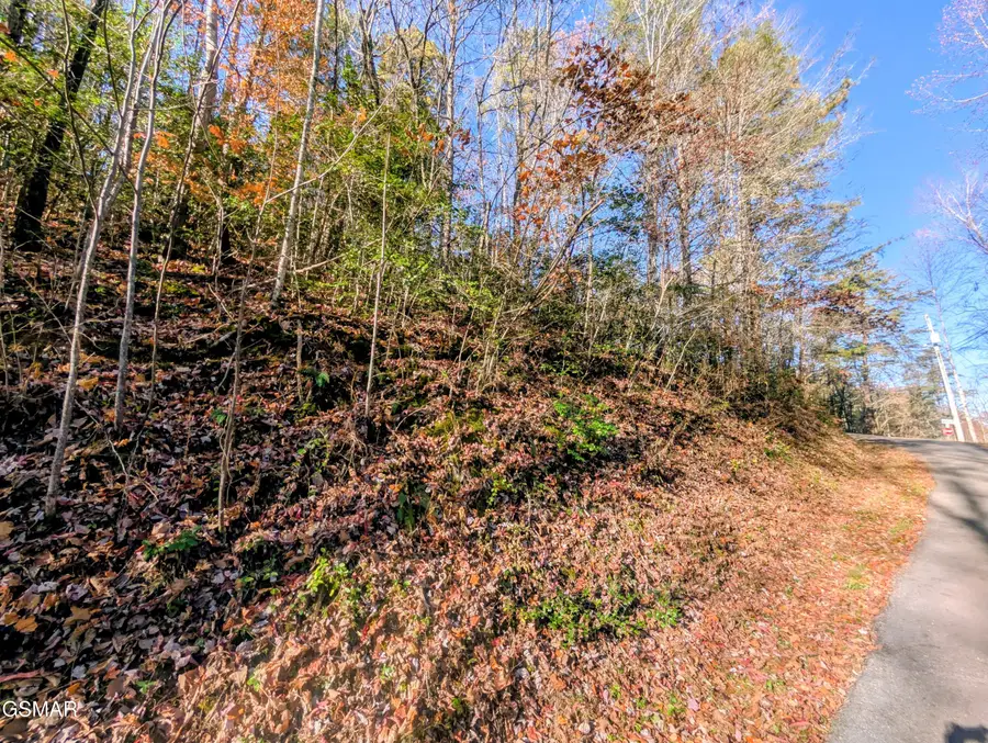 Lot 1905 Beach Front Drive, Sevierville, TN 37876 - Image #3