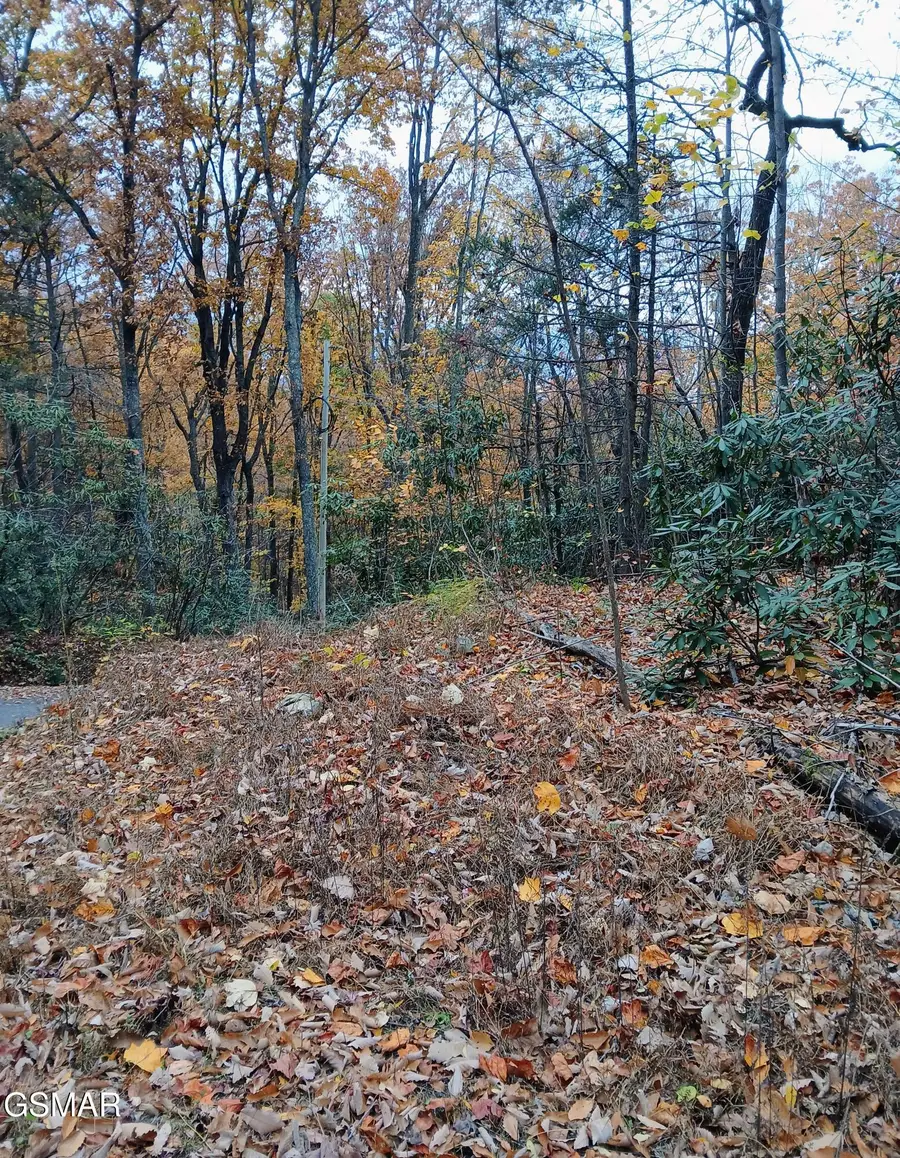 Lot 3 Rocky Ridge Road, Cosby, TN 37722 - Image #2