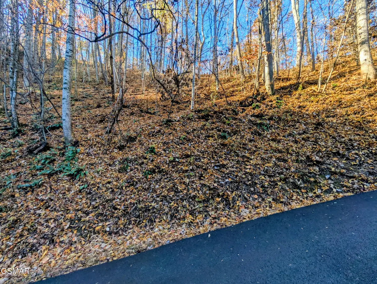 Lot 339 Ridgefield Drive, Sevierville, TN 37876 - Image #1