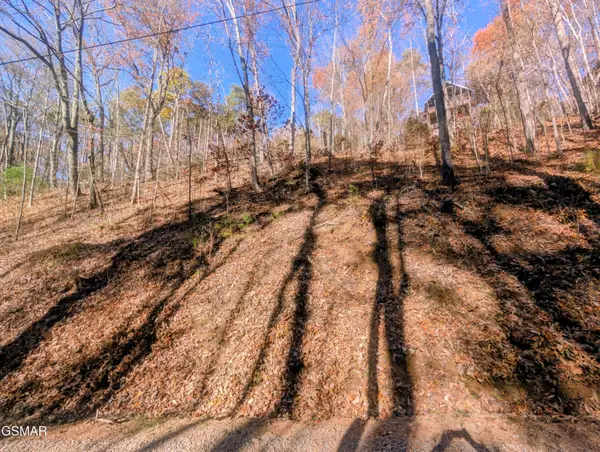 Lot 177B Tsali Drive, Sevierville, TN 37876